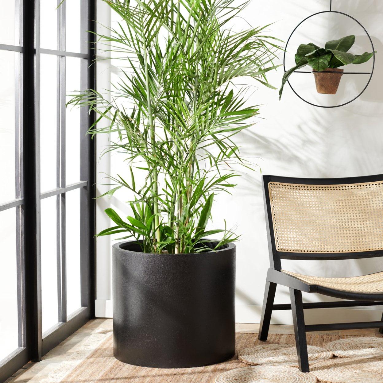 Alia 28" Modern Black Concrete Round Patio Planter