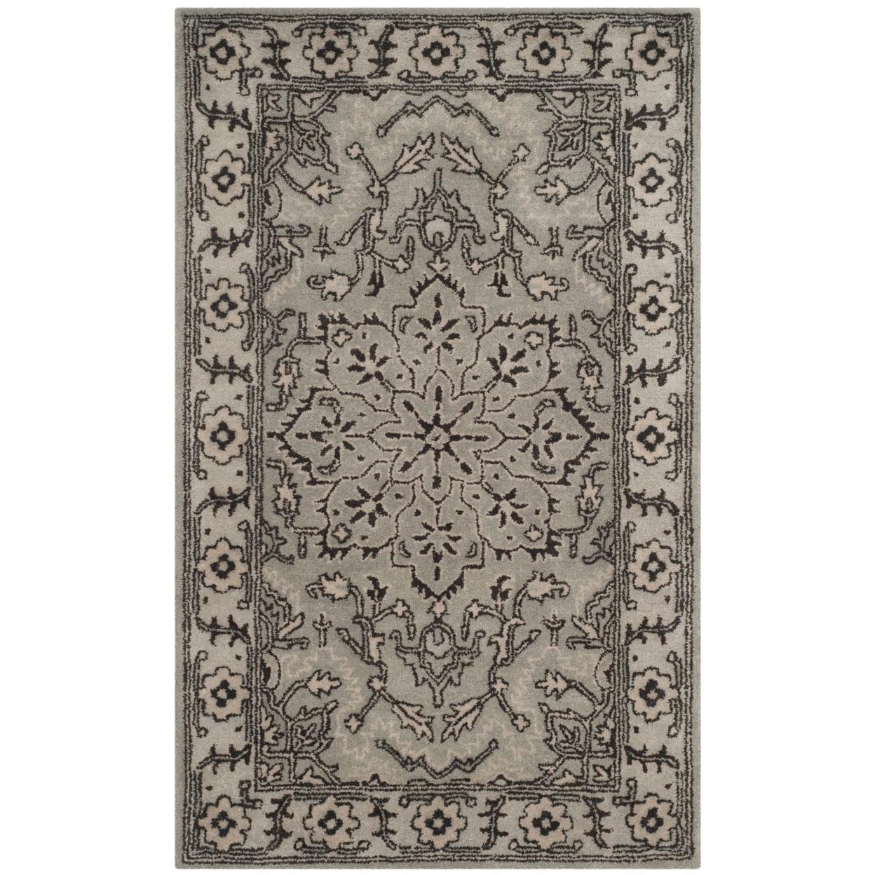 Antiquity AT58 Hand Tufted Area Rug  - Safavieh