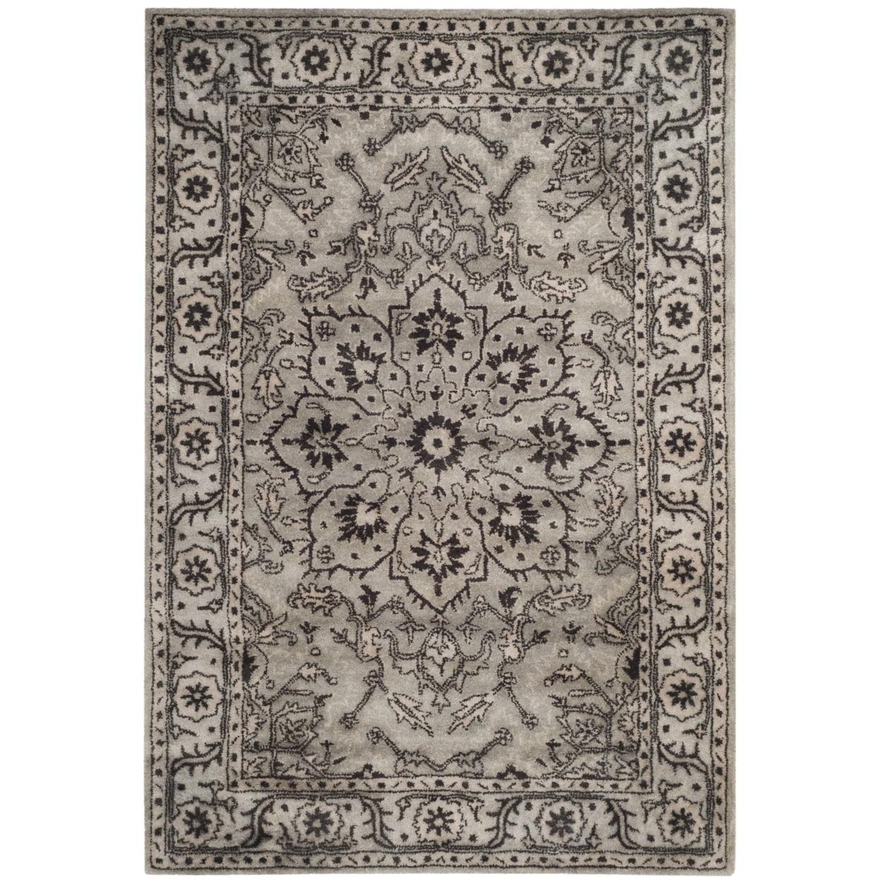 Antiquity AT58 Hand Tufted Area Rug  - Safavieh