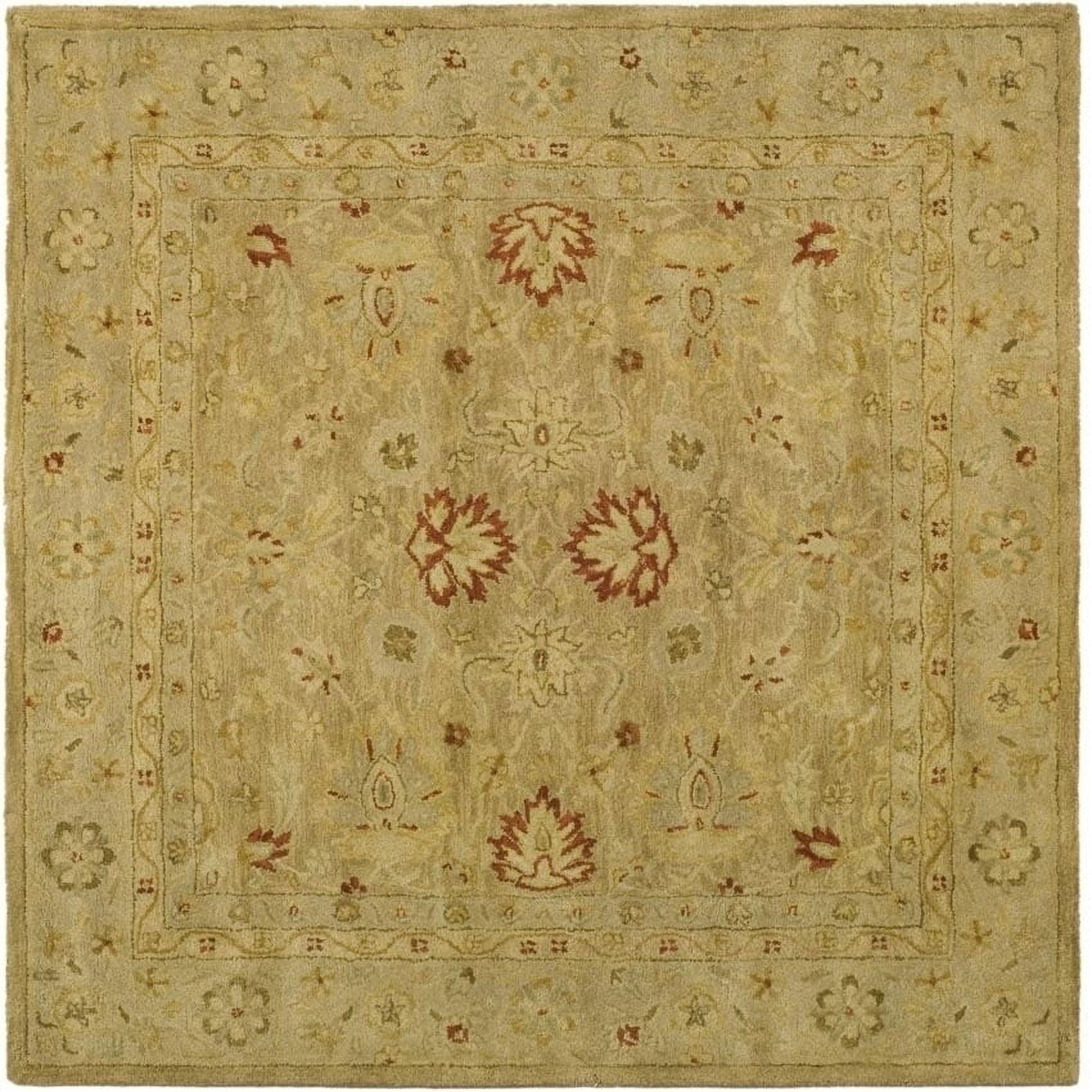 Antiquity AT822 Hand Tufted Area Rug  - Safavieh