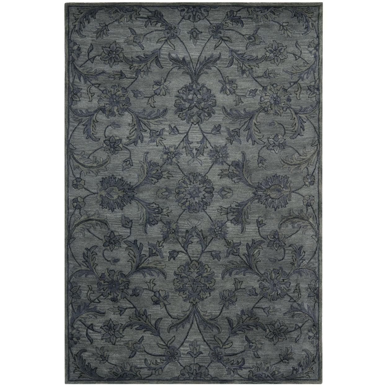 Antiquity AT824 Hand Tufted Area Rug  - Safavieh