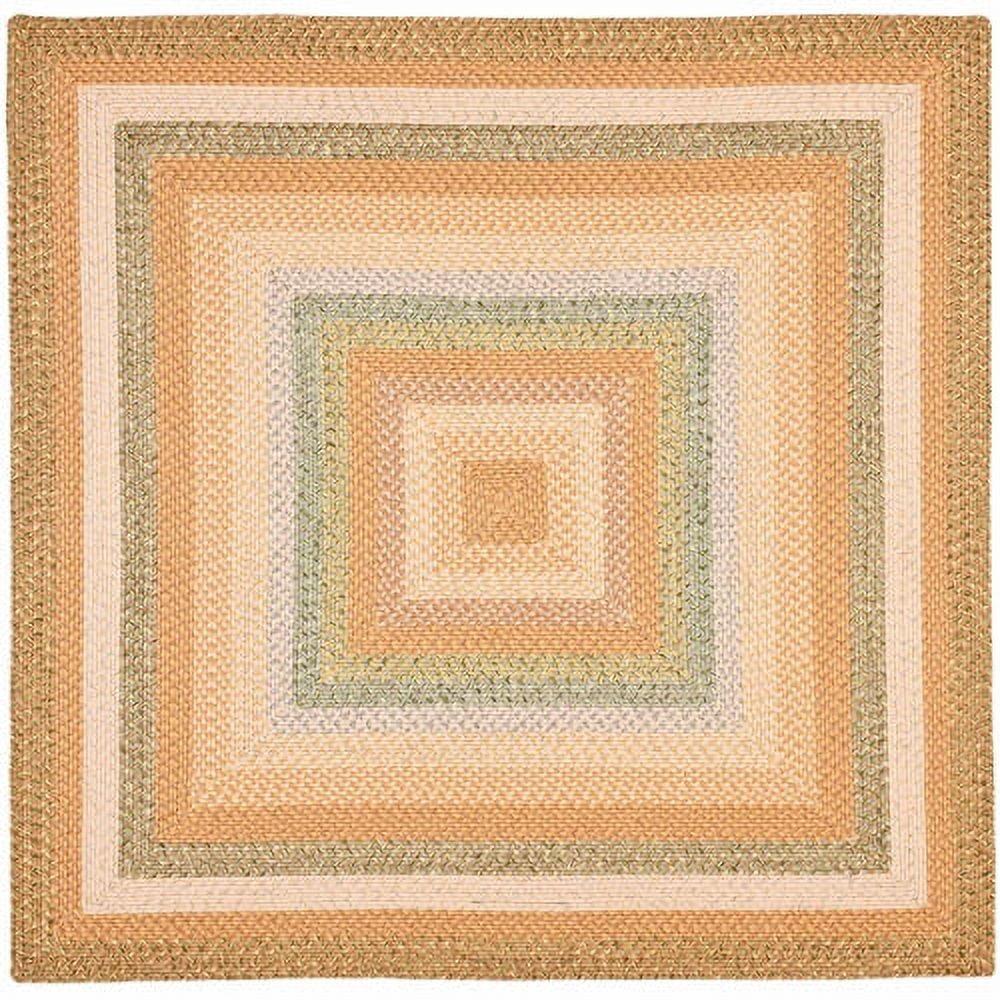 Braided BRD314 Hand Woven Area Rug - Tan/Multi - 4'x6' - Safavieh.