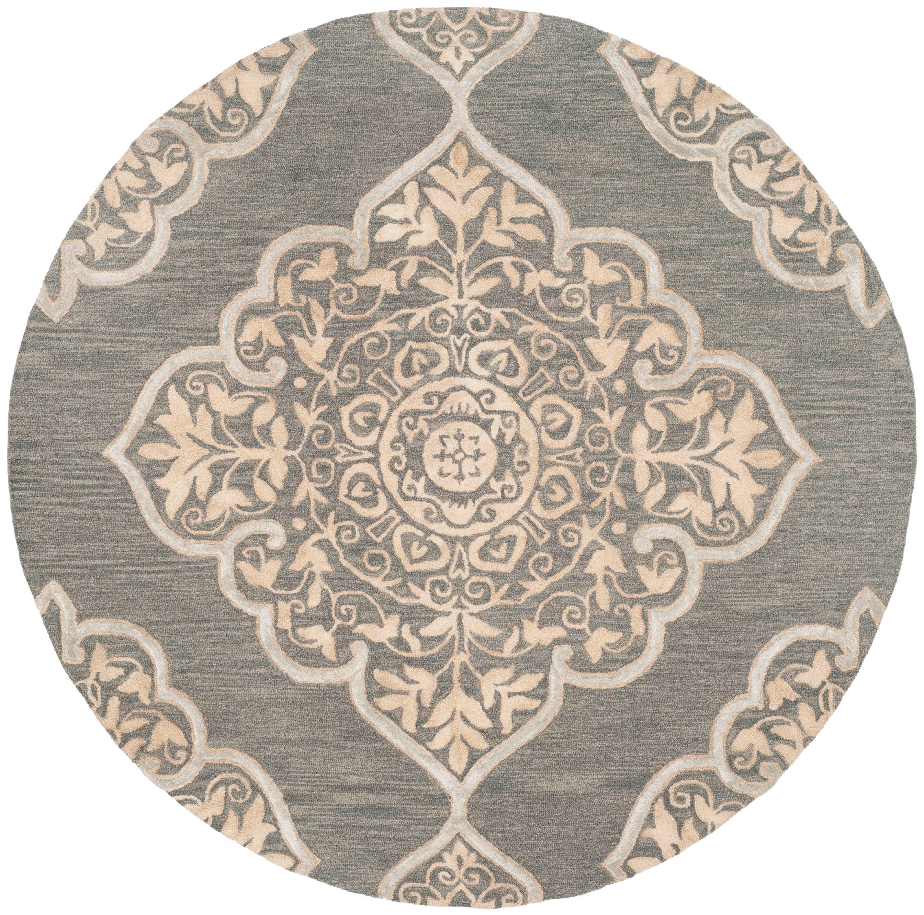 Dip Dye DDY510 Hand Tufted Area Rug  - Safavieh