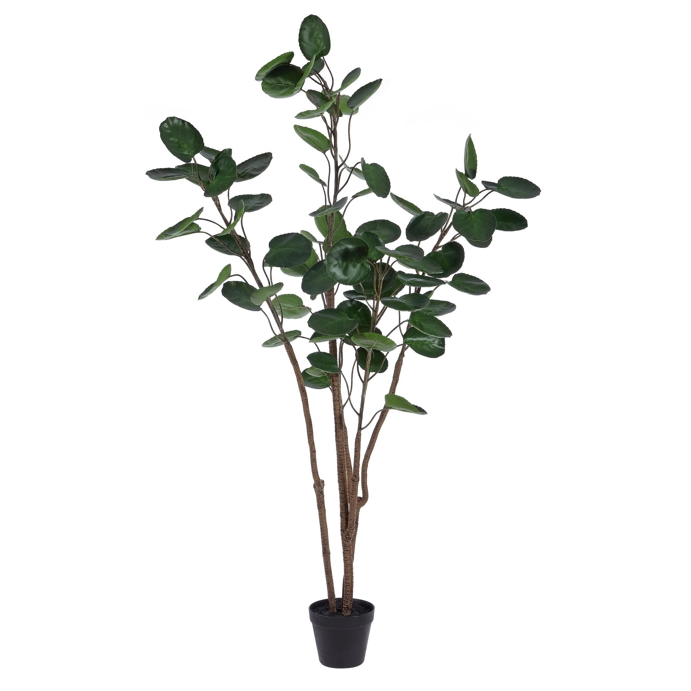 59-Inch Faux Polyscias Potted Tree with Black Pot