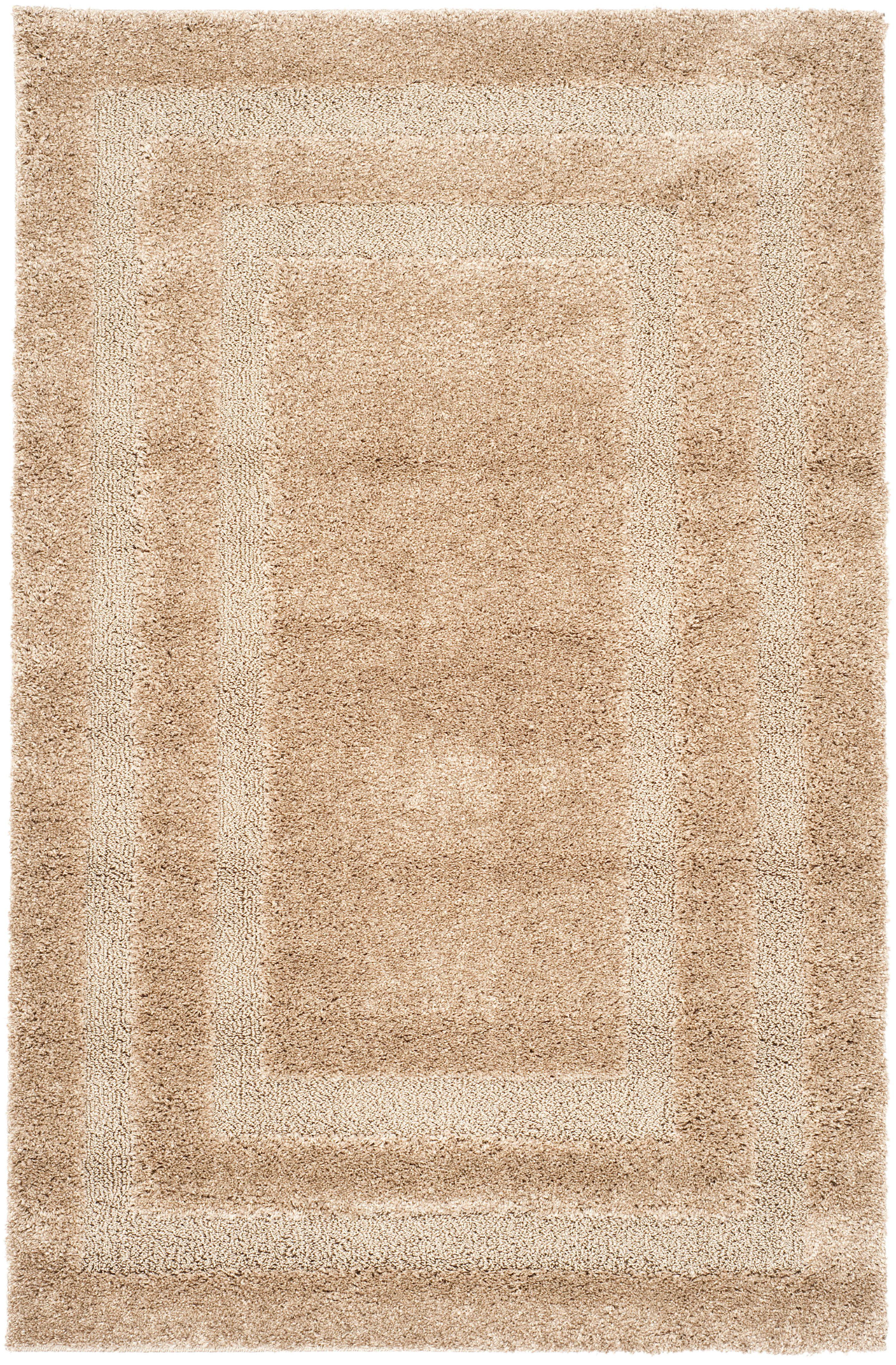 Florida Shag SG454 Power Loomed Area Rug  - Safavieh