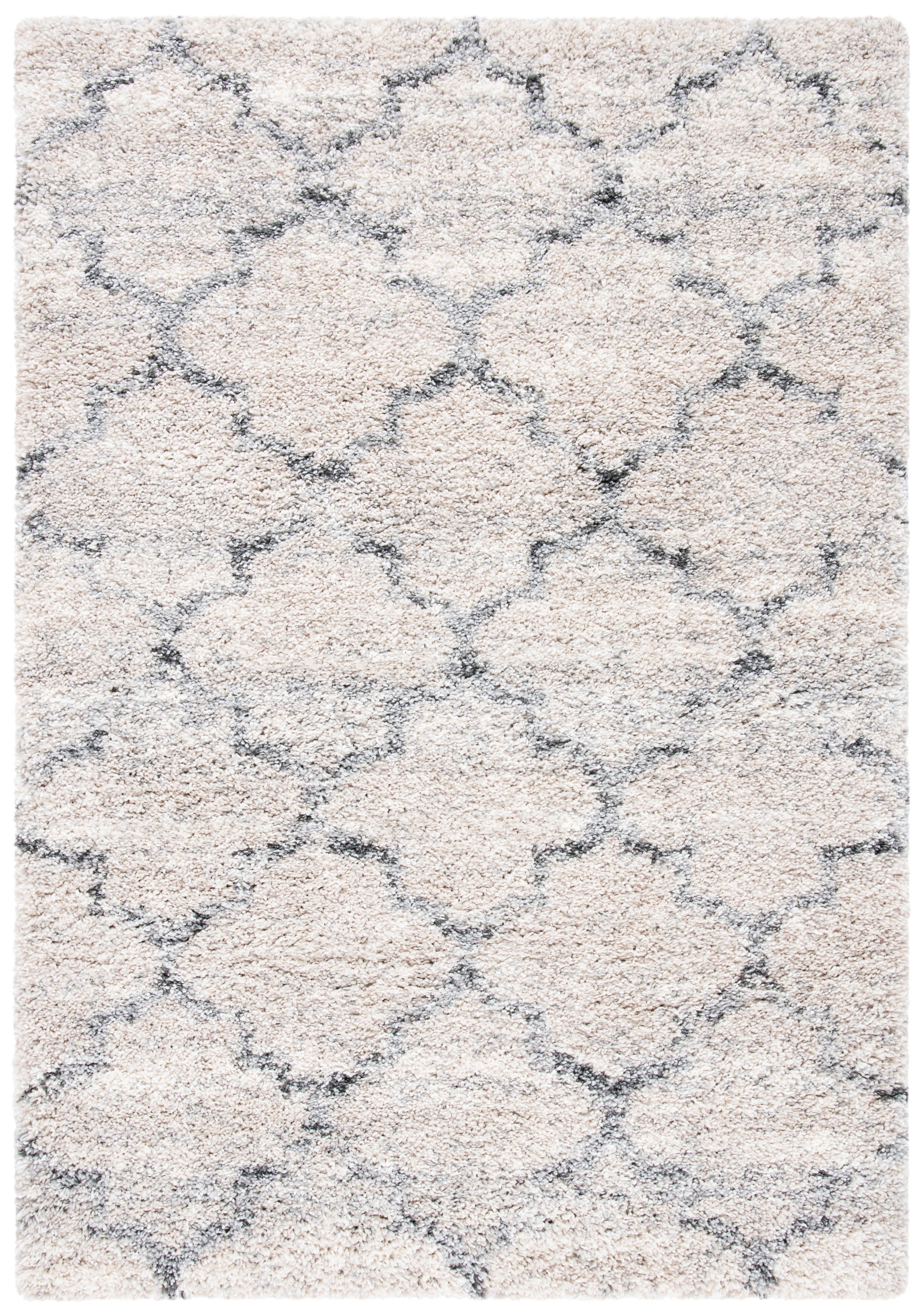 Fontana Shag Gray and Ivory Synthetic Area Rug