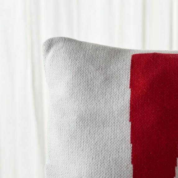 Safavieh Cotton Reversible Throw Pillow