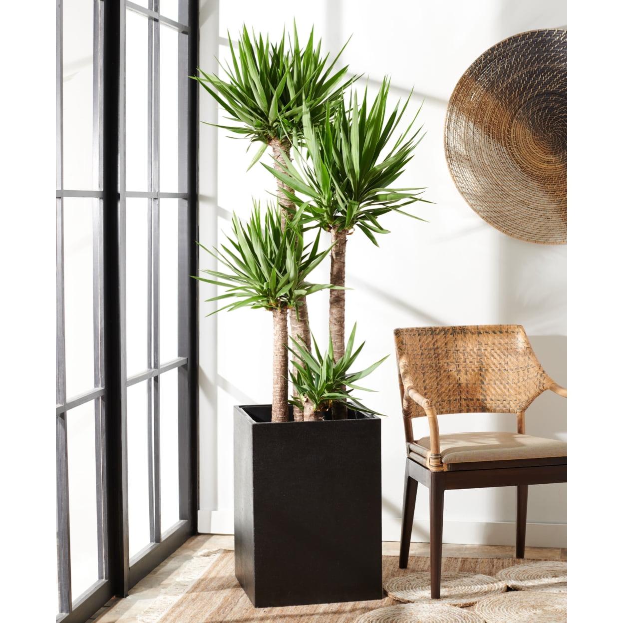 Minimalist Black Concrete Cubist Patio Planter, 31"x23"