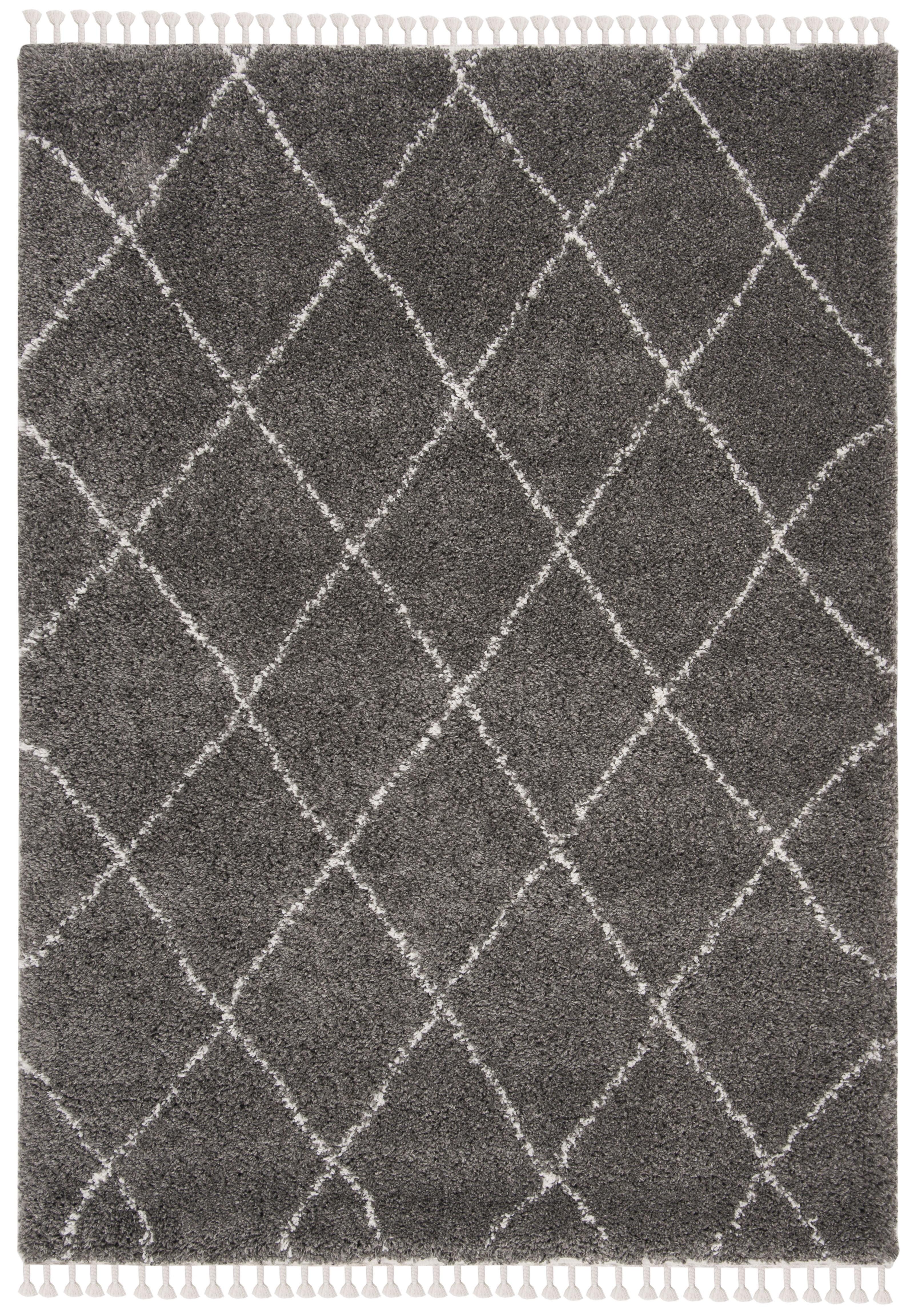 Gray and Ivory Moroccan Fringe Shag Area Rug