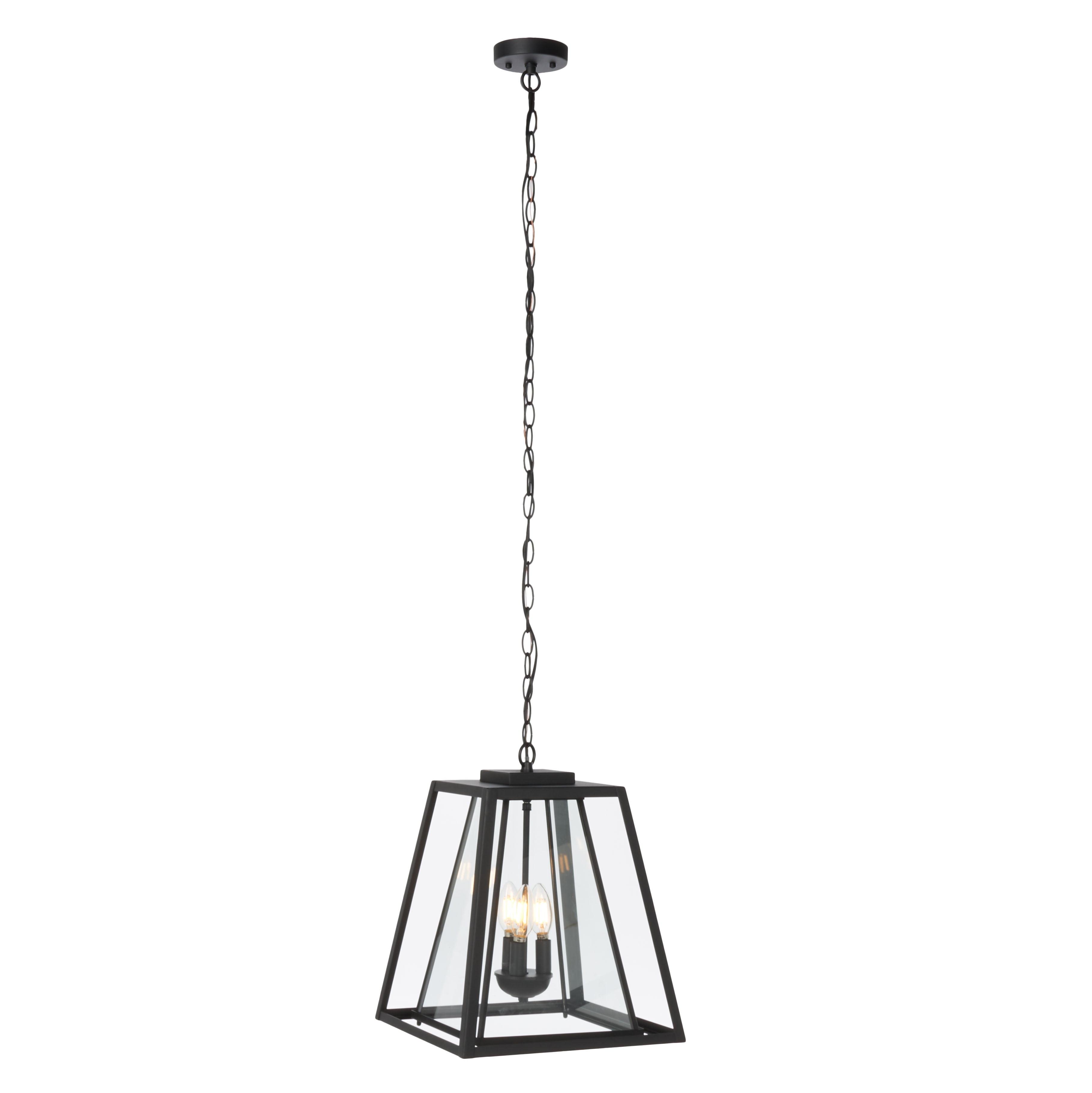 Rydler 16'' Black and Clear Glass Industrial Outdoor Pendant Light