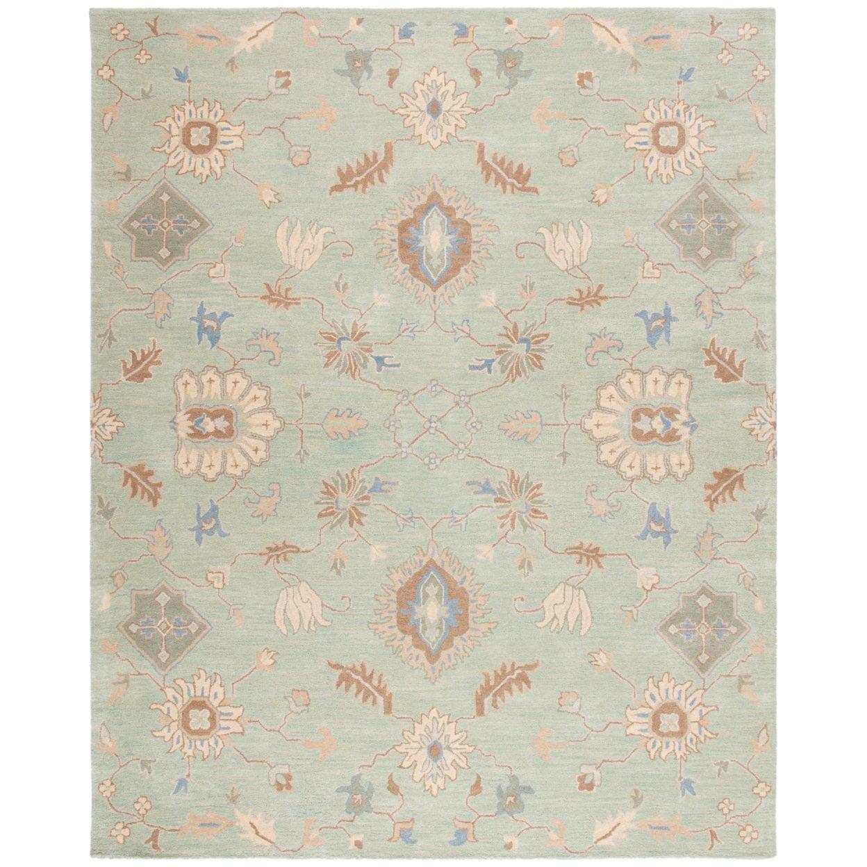 Wyndham WYD202 Hand Tufted Area Rug  - Safavieh