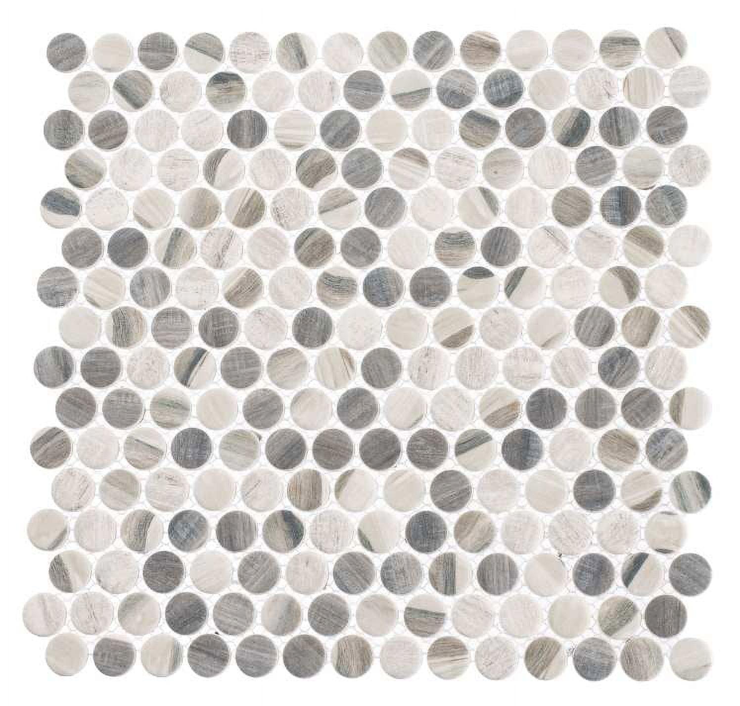 Rei White and Gray Glass Penny Round Mosaic Tile Sample