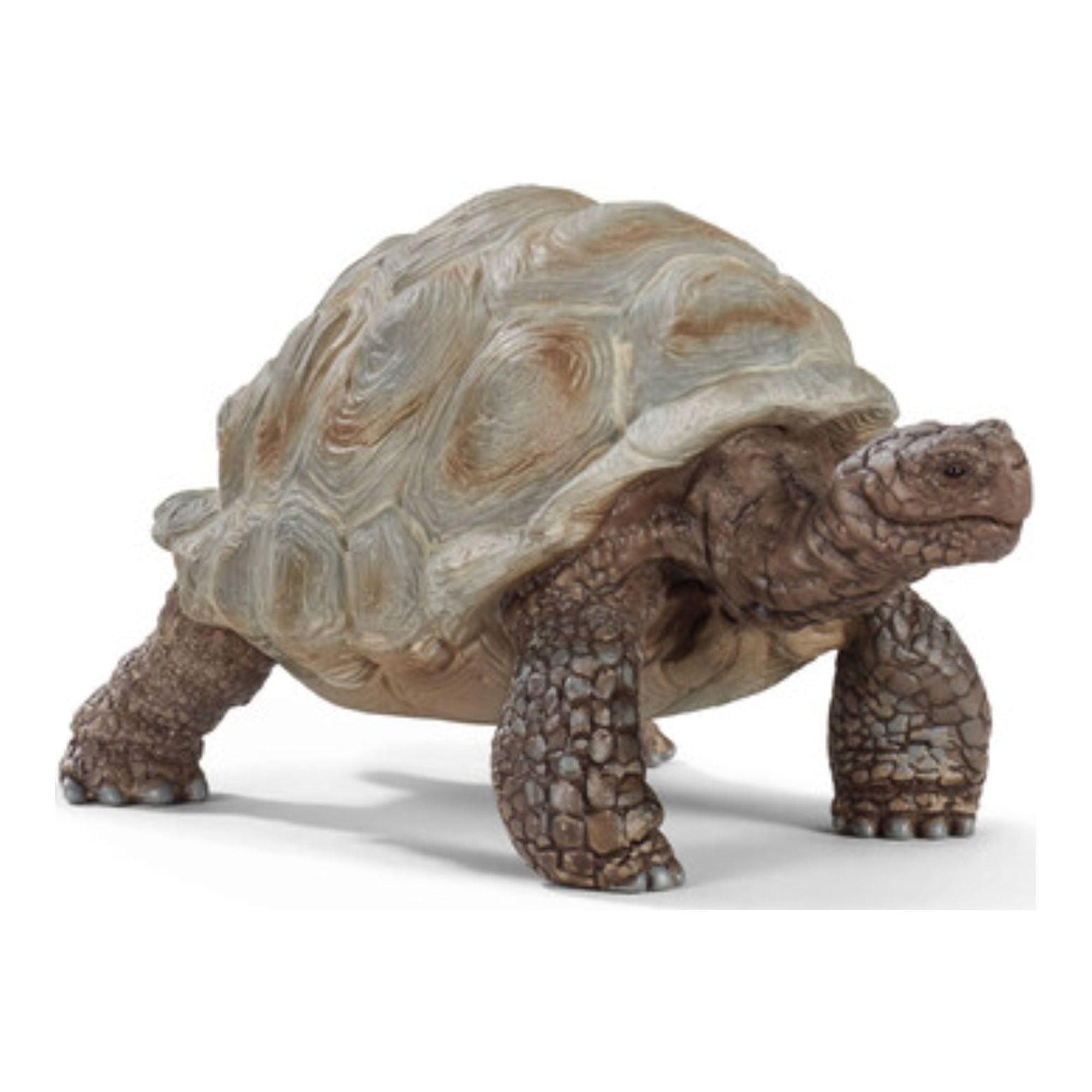 Realistic Brown and Beige Giant Tortoise Toy Figurine