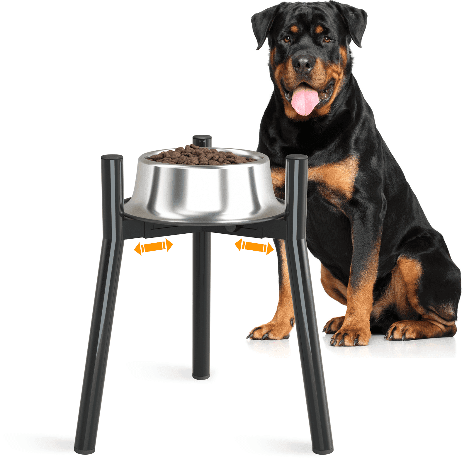 Adjustable Black Metal Elevated Dog Bowl Stand for Large Breeds