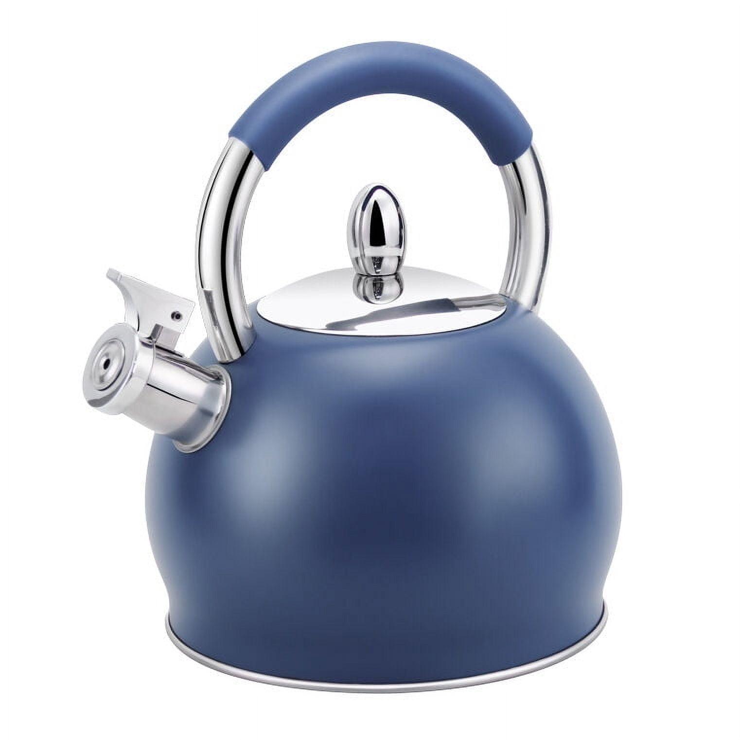 Blue Stainless Steel Whistling Tea Kettle with Silicone Handle 3.2 Quart