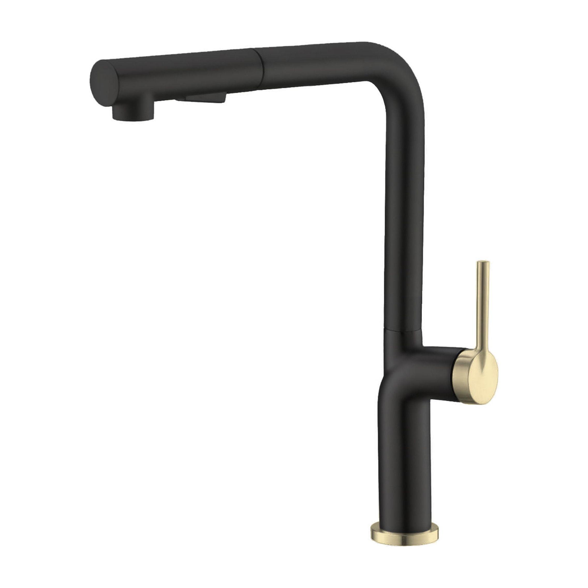 Matte Black and Gold Stainless Steel Pull-Out Spray Kitchen Faucet