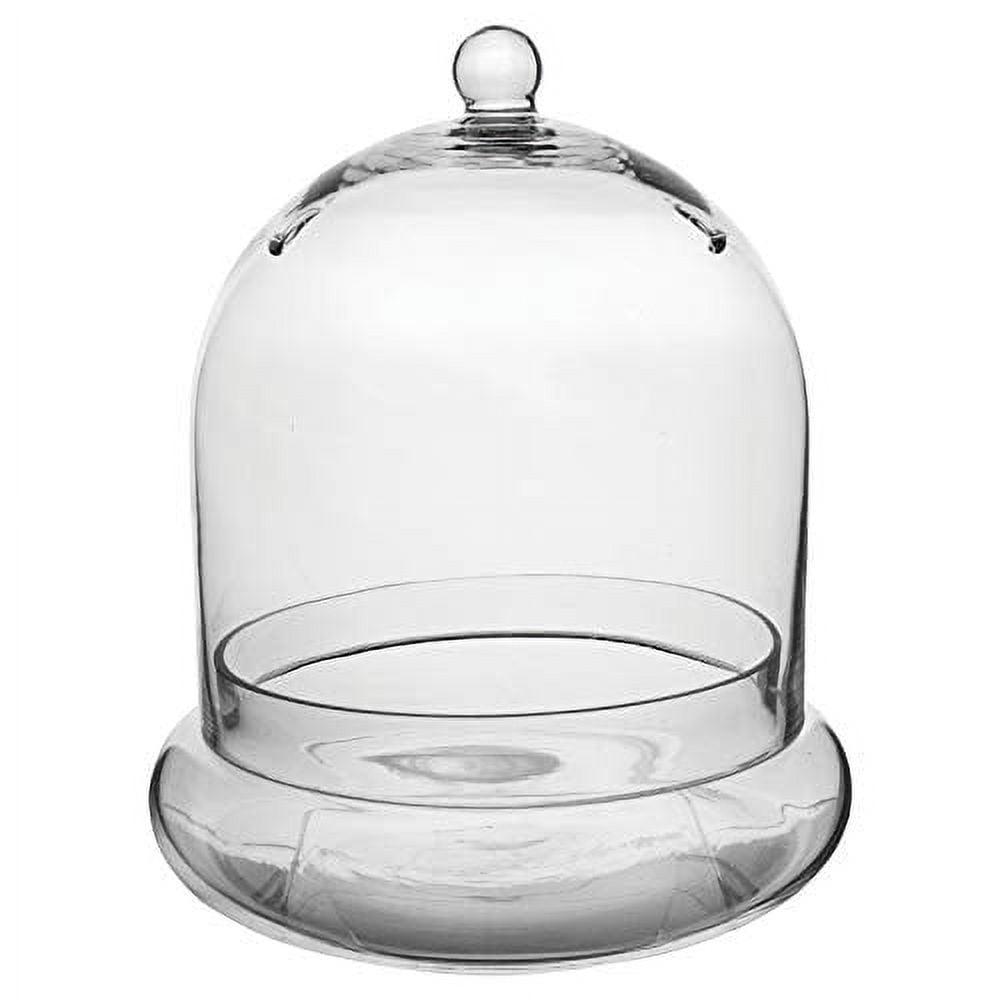 Large Clear Glass Terrarium Cloche with Air Holes