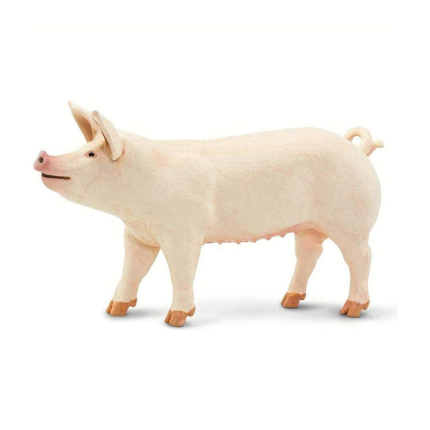 Safari Ltd. Large White Pig - Realistic 4" Farm Animal Figure - Educational Toy for Boys, Girls, & Kids Ages 3+