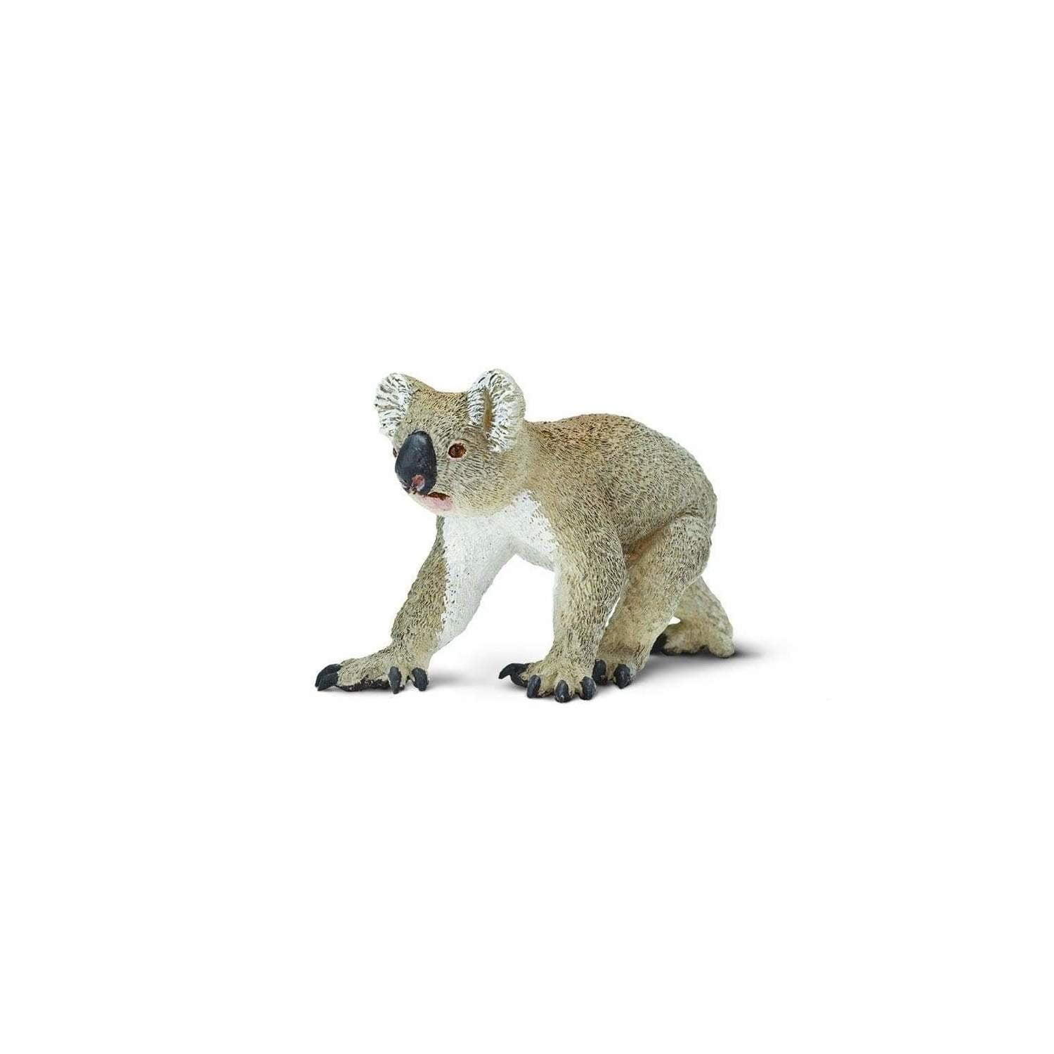 Safari Ltd. Koala Figurine - Lifelike 1.75" Model Figure - Educational Toy for Boys, Girls, and Kids Ages 3+