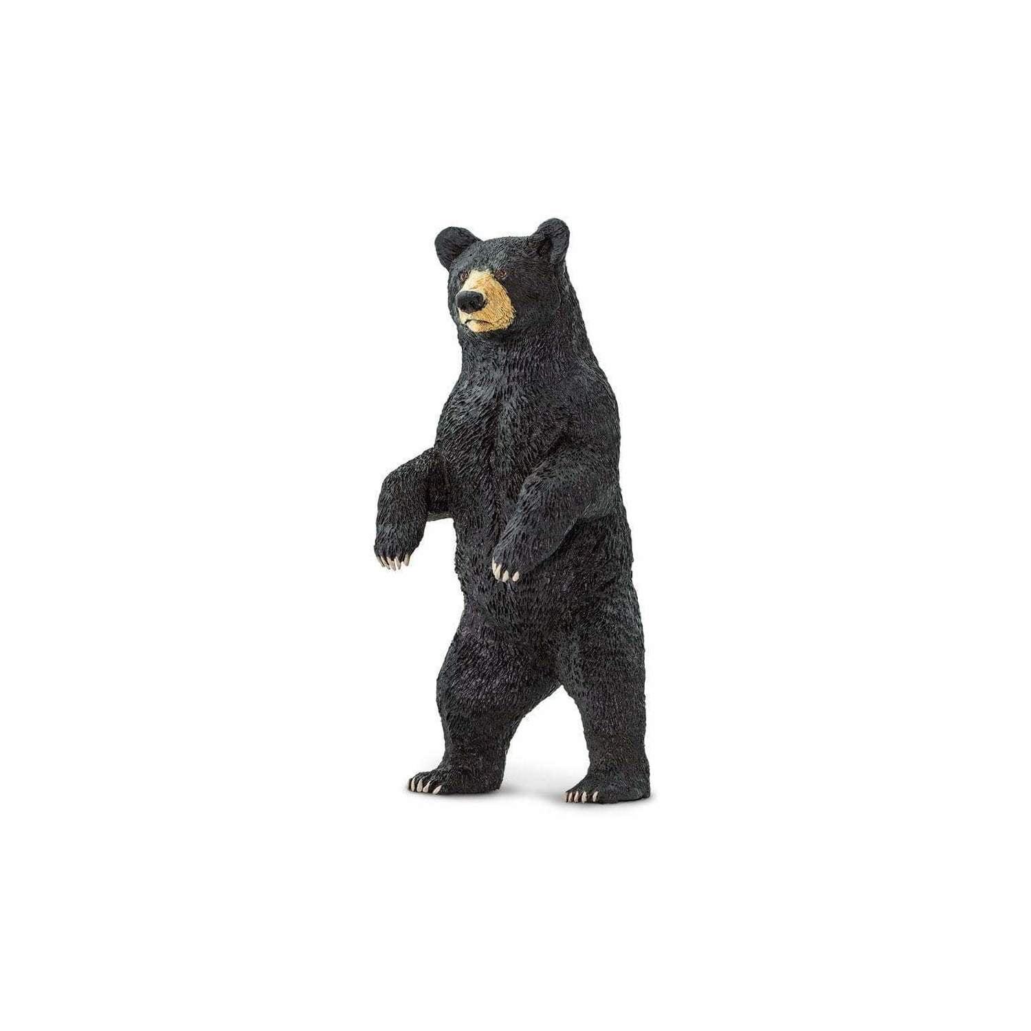 Safari Ltd. Standing Black Bear Figurine - Lifelike 4" Model Figure - Educational Toy for Boys, Girls, and Kids Ages 3+
