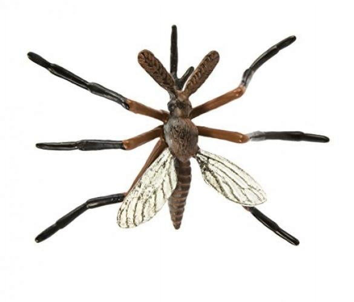 Safari Ltd. Safariology: Life Cycle of a Mosquito