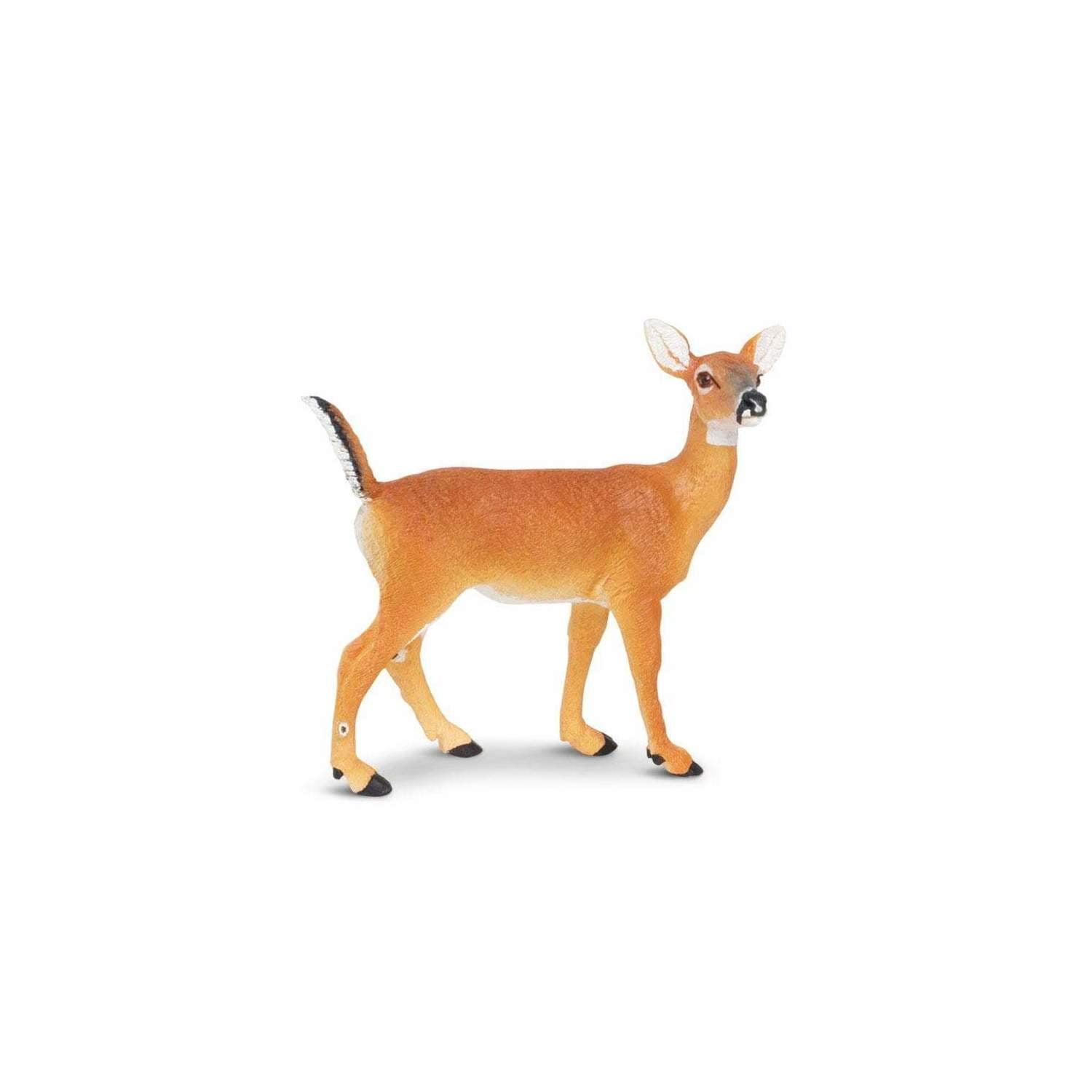 Safari Ltd. Whitetail Doe Figurine - Lifelike 4.3" Model Figure - Educational Toy for Boys, Girls, and Kids Ages 3+