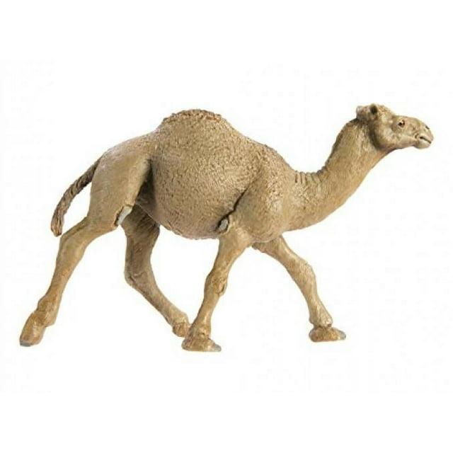 Safari Ltd. Dromedary Camel Figurine - Lifelike 5.75" Model Figure - Educational Toy for Boys, Girls, and Kids Ages 3+