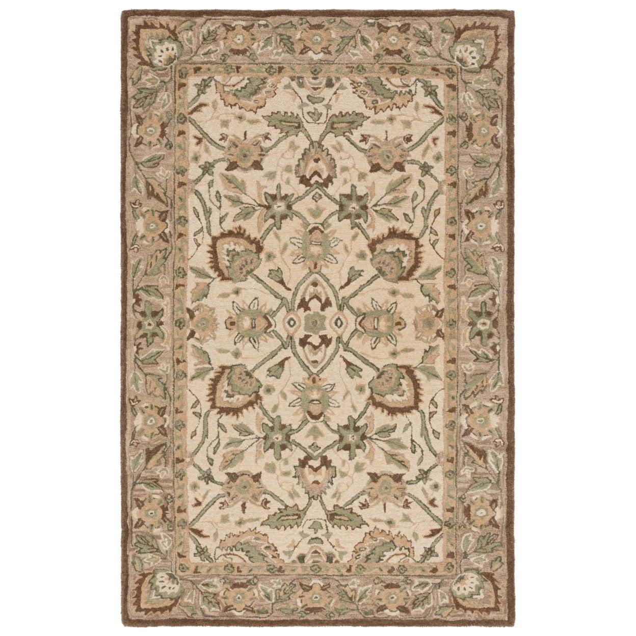 Arizona Shag ASG742 Power Loomed Area Rug  - Safavieh