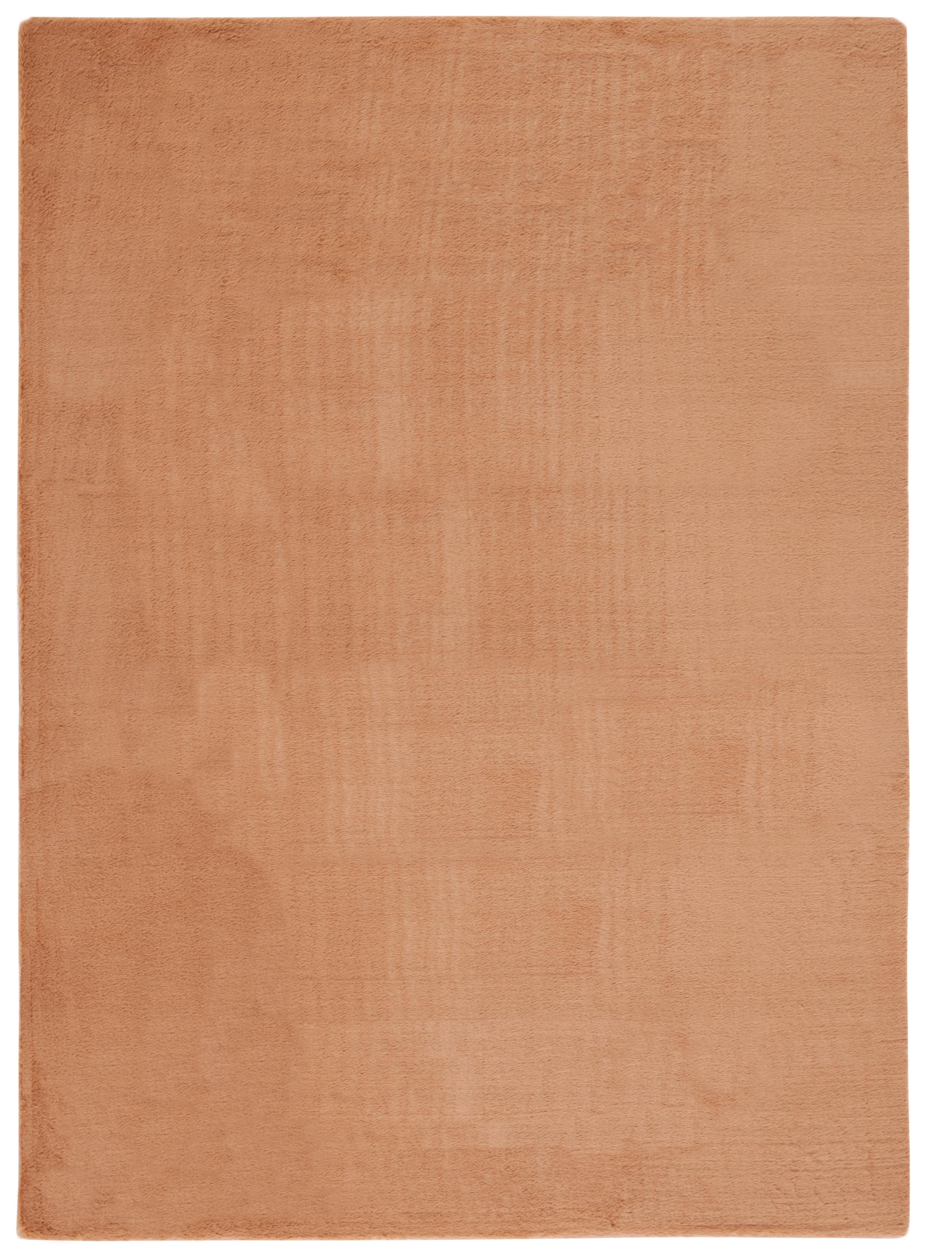 Faux Rabbit Fur FRF500 Power Loomed Machine Washable Indoor Area Rug - Brown - 6'x9' - Safavieh