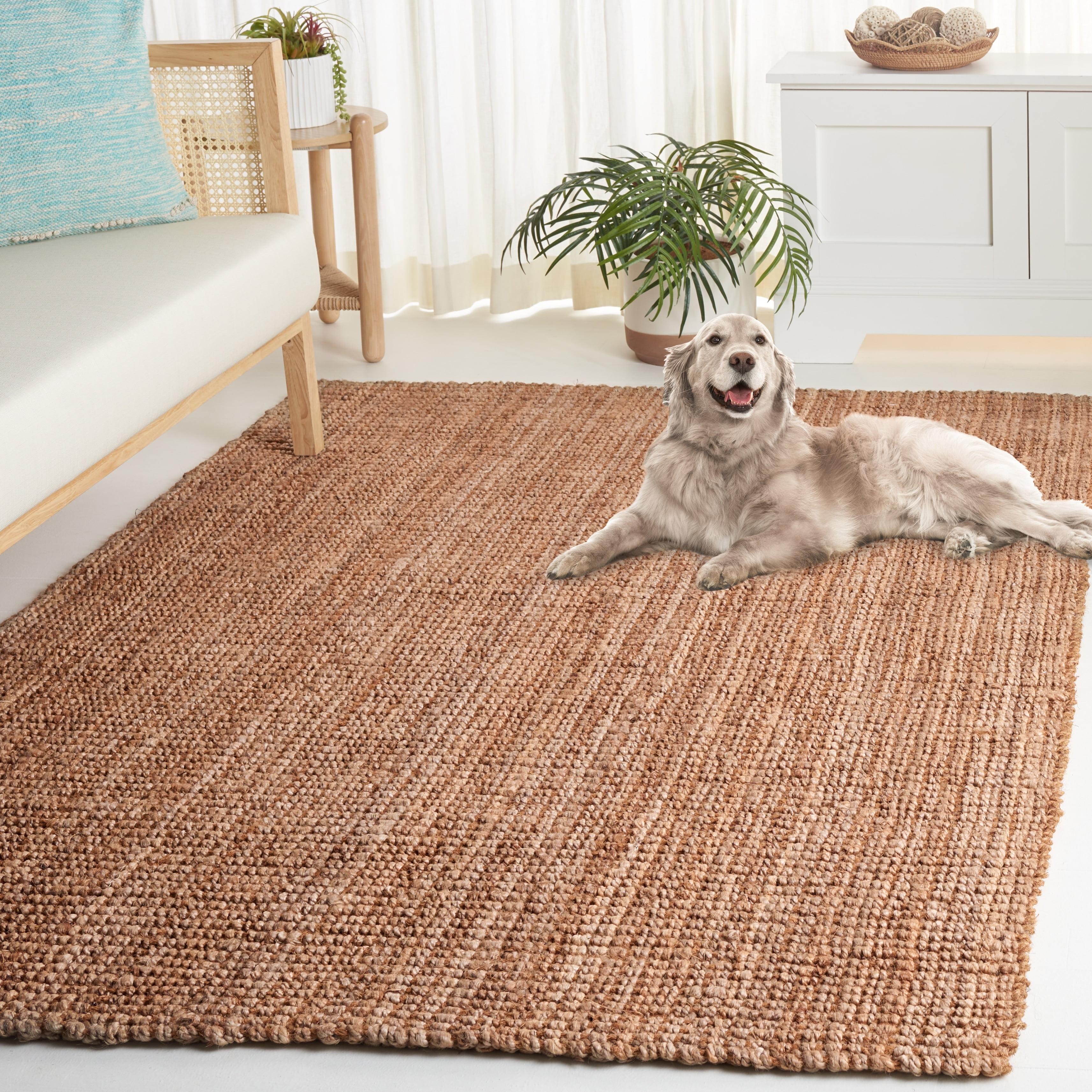 Safavieh  Handmade Natural Fiber Nineke Casual Jute Rug 3' x 3' Square - Natural