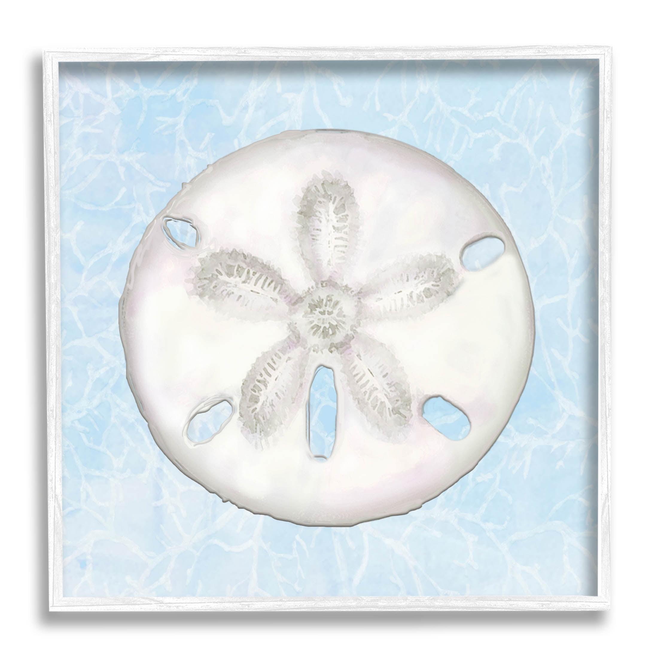 White Framed Sand Dollar Aquatic Canvas Art Print