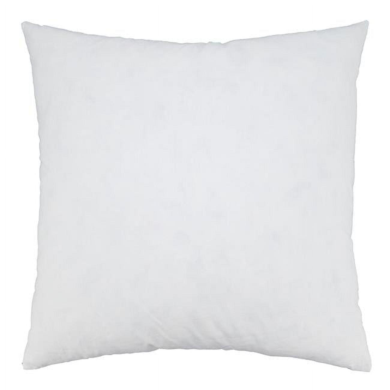 Saro Lifestyle  22 in. Down Feather Pillow Insert, White