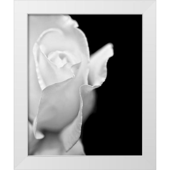 Mercer41 Mercer41 Schell, Jennie Marie Gallery Wrapped Canvas Art Titled Rose Flower Macro Black and White 2