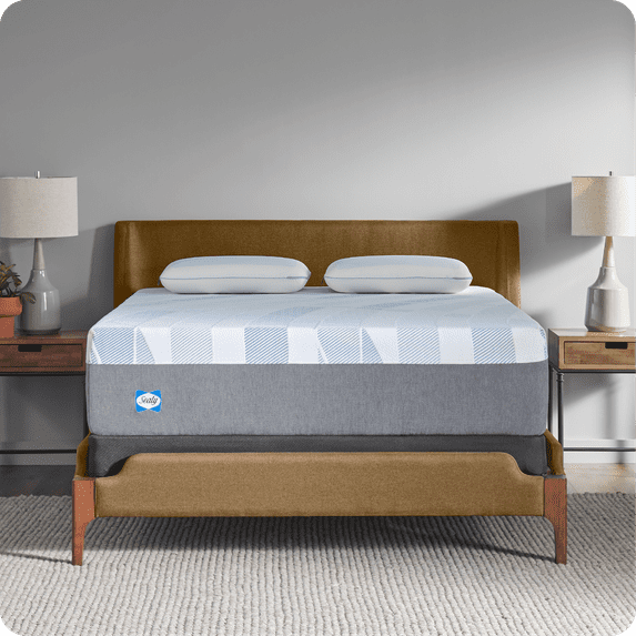 Sealy Dreamlife 14” Plush Foam Mattress-in-a-Box