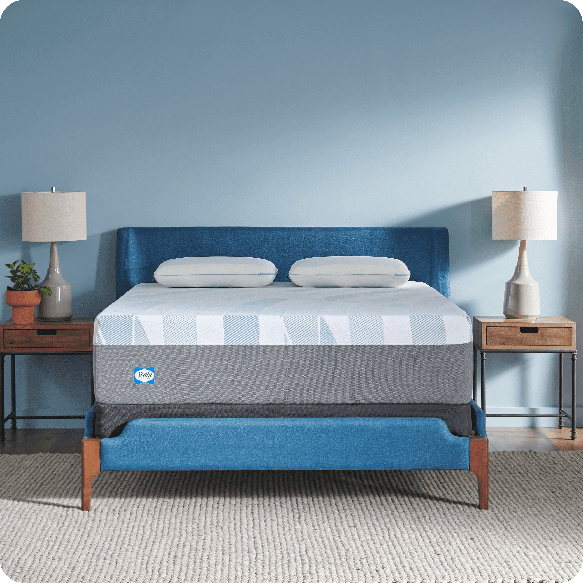 Sealy Sealy Dreamlife 14” Plush Hybrid Mattress-in-a-Box