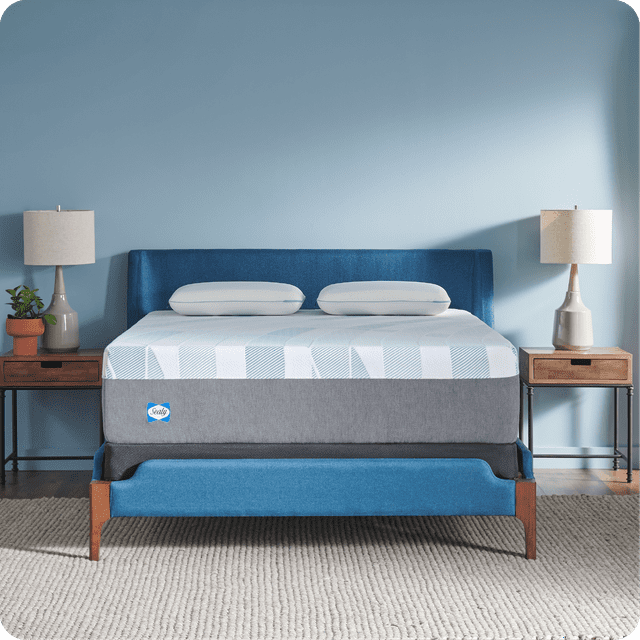 Sealy Sealy Dreamlife 14” Plush Hybrid Mattress-in-a-Box