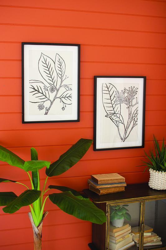 SET OF TWO LEAF PRINTS UNDER GLASS WITH BLACK FRAME 18 X 23.5T
