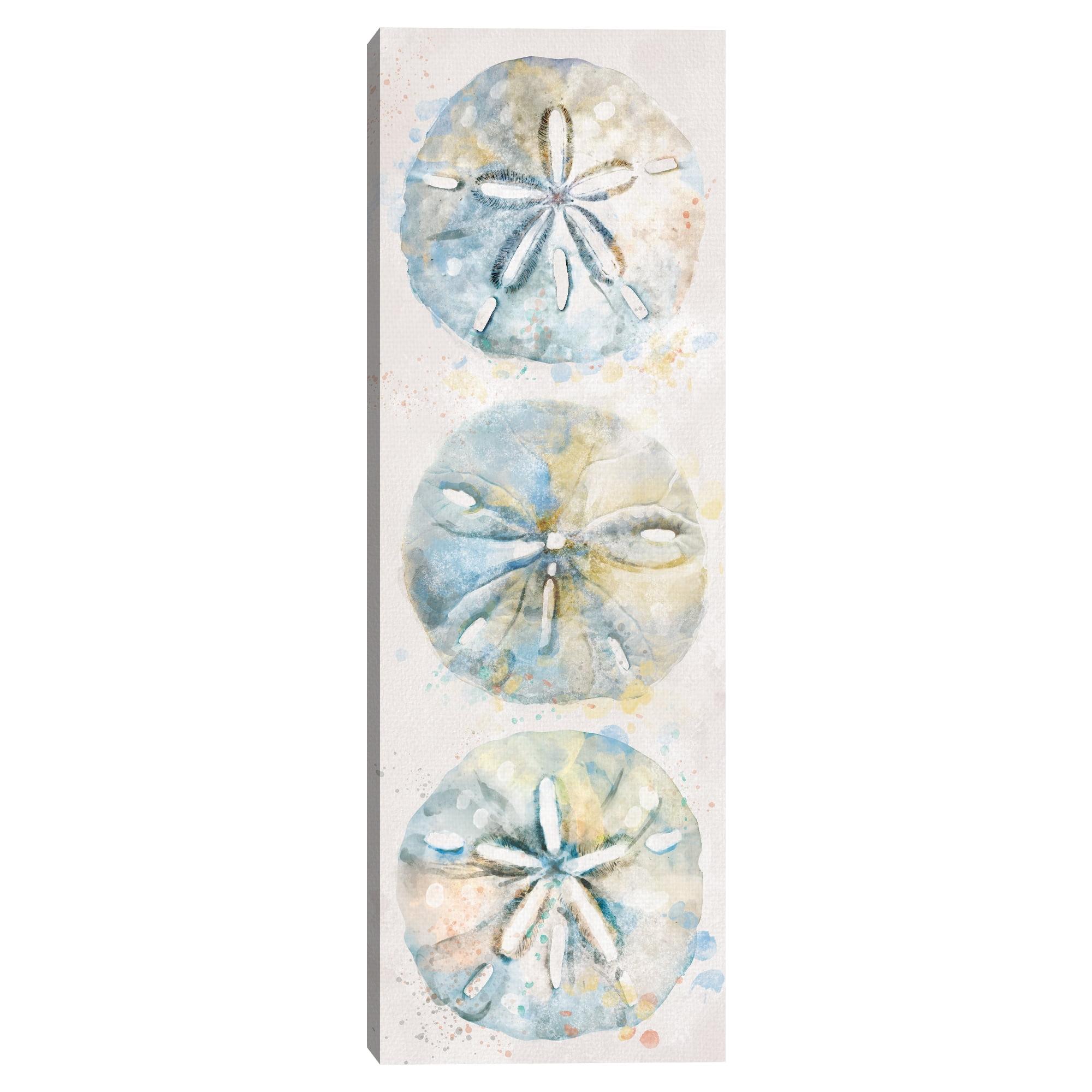 Coastal Sand Dollar Trio Canvas Art Print for Kids