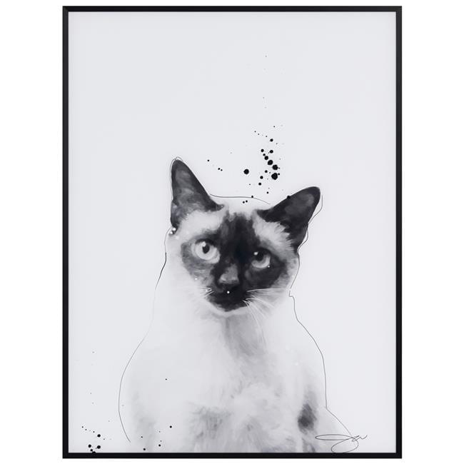 Black and White Siamese Cat Portrait on Glass with Aluminum Frame