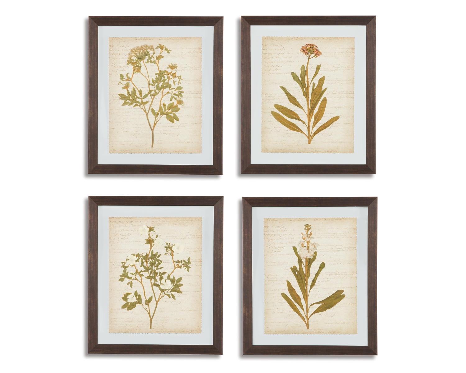 Beige and Gold Botanical Framed Wall Art Set of 4