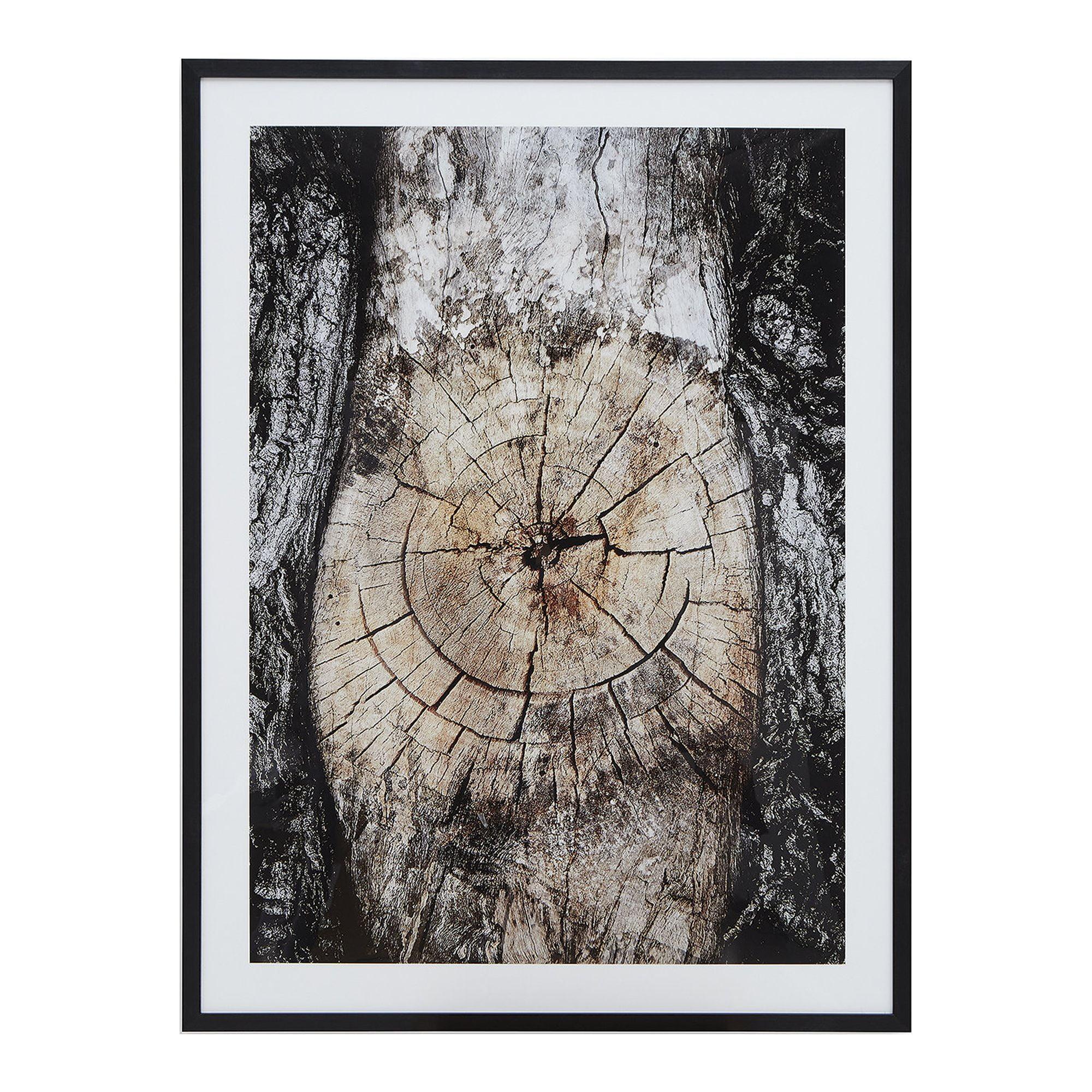 Freyburn 40" Black and Brown Tree Wall Art