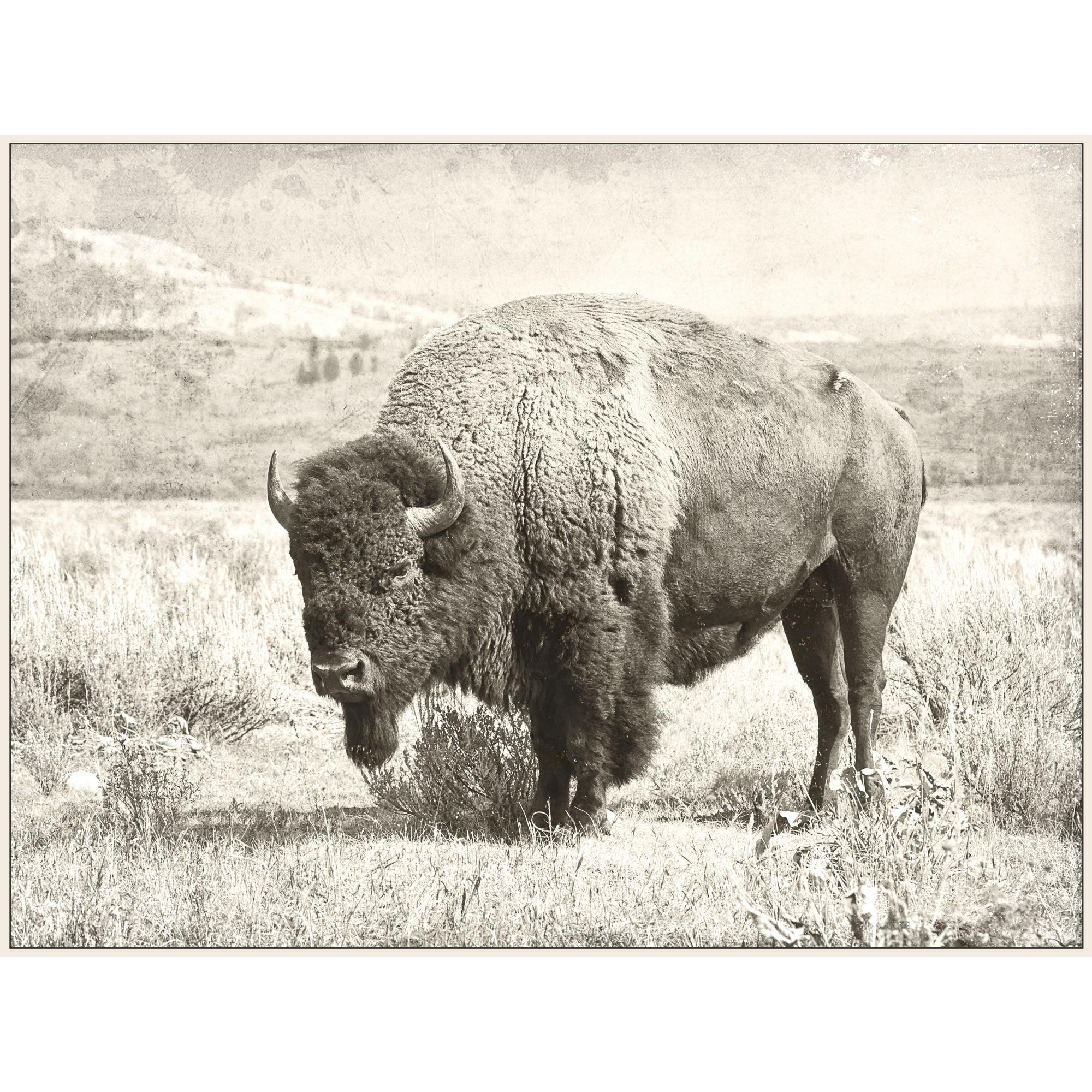 Signature Home Collection Brown Wild Buffalo Rectangular Framed Wall Art 36" x 48"