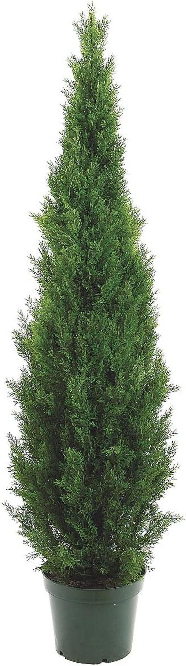 Silk Décor  Topairy in Plastic Pot, 72-Inch, Green
