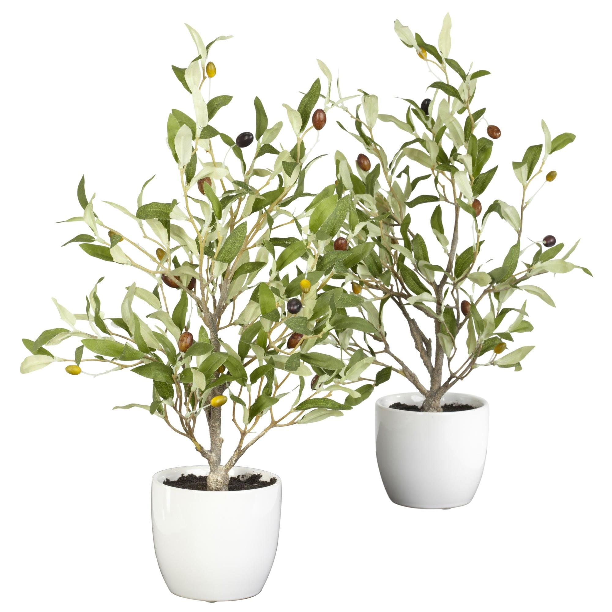 Mediterranean Elegance 21" Silk Olive Tree Tabletop Centerpiece