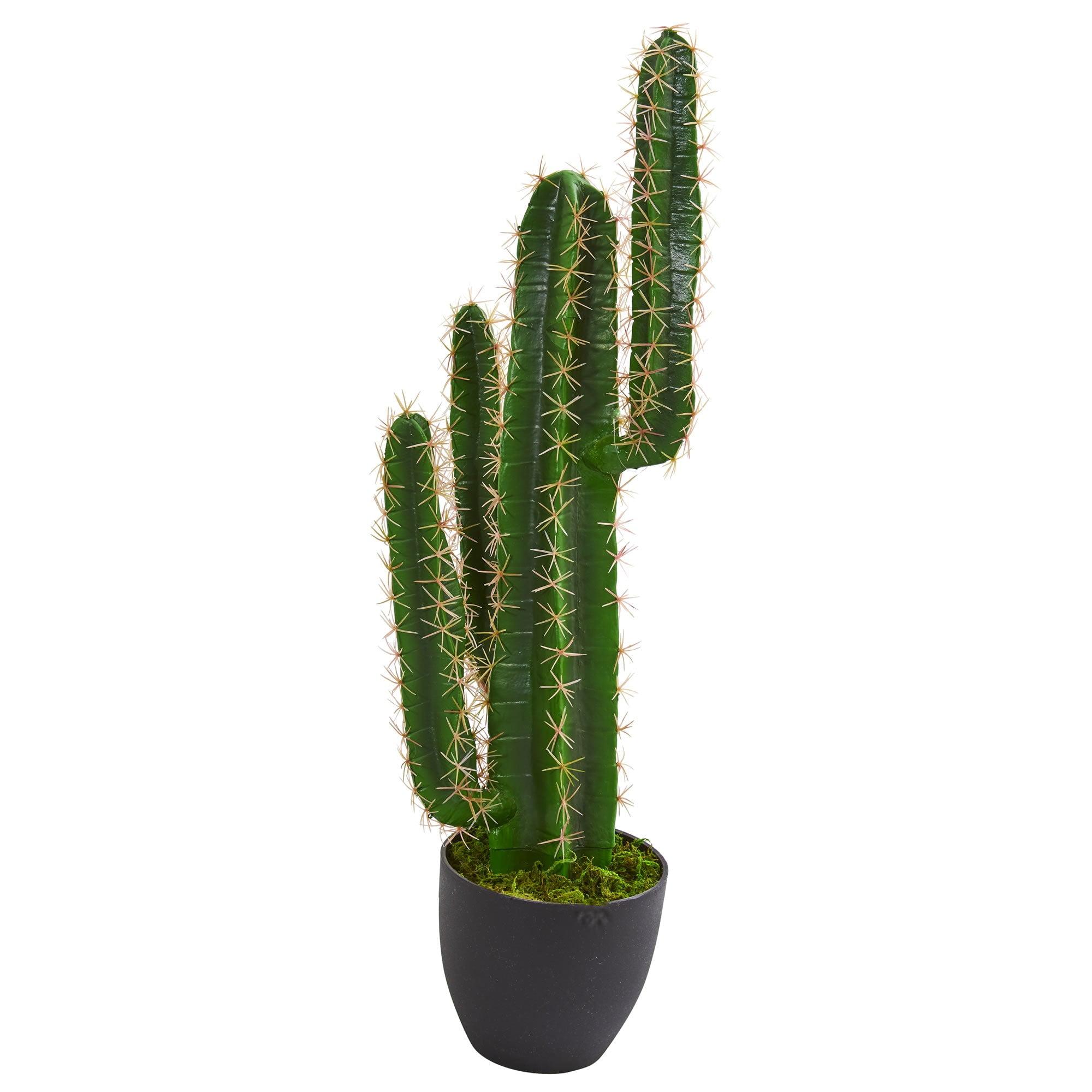 Desert Oasis Lifelike Cactus Arrangement in Black Planter, 38"