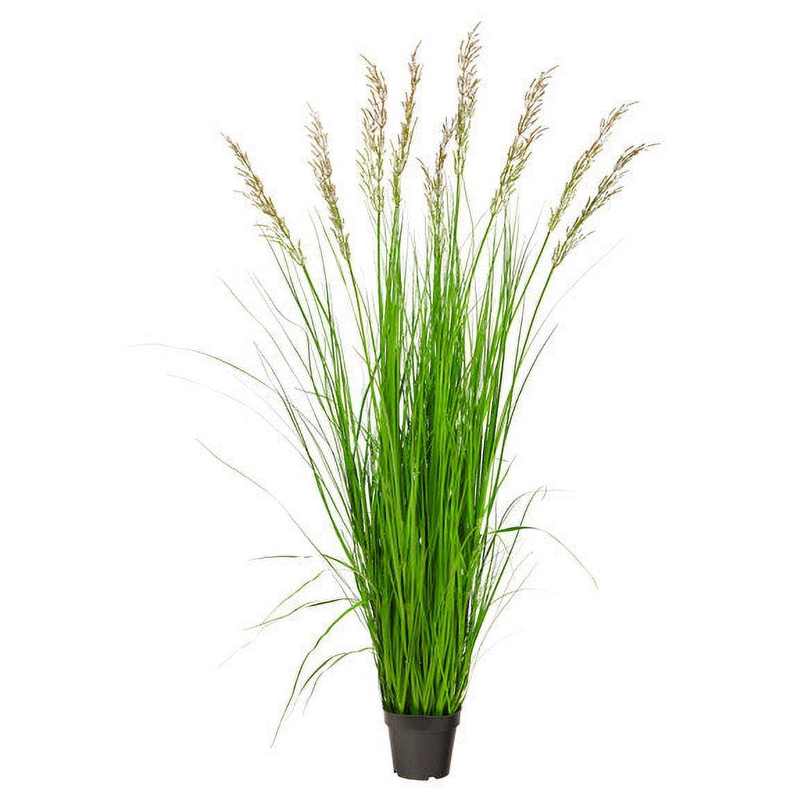 Nearly Natural 5.5-ft Plum Grass Artificial Plant