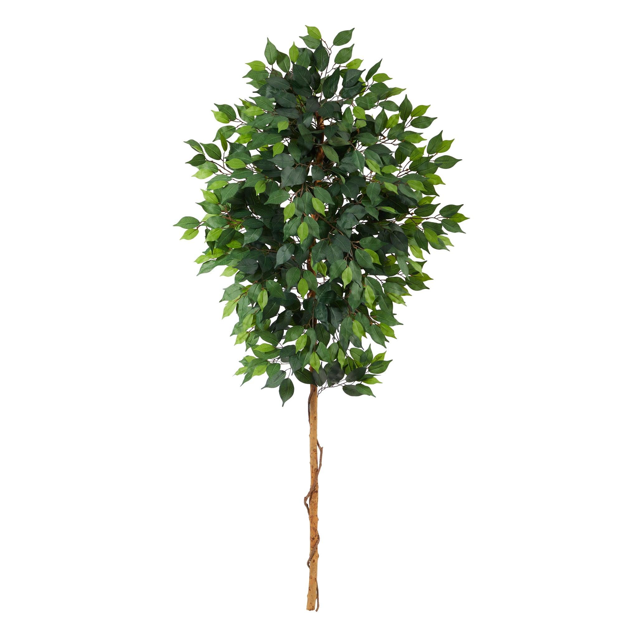 Elegant 6ft Ficus & Fern Mix Artificial Potted Tree