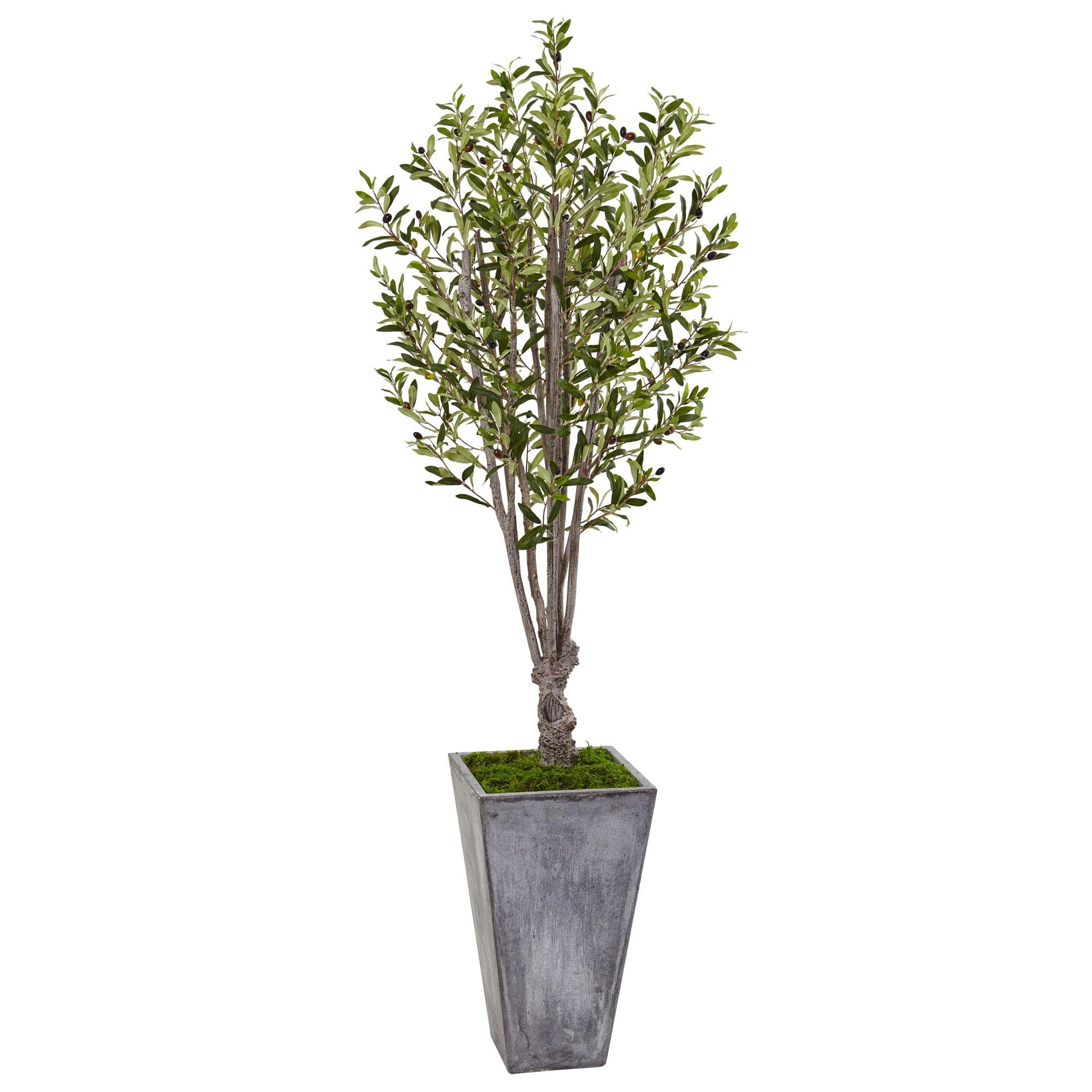 74" Silk Olive Tree in Stone Planter