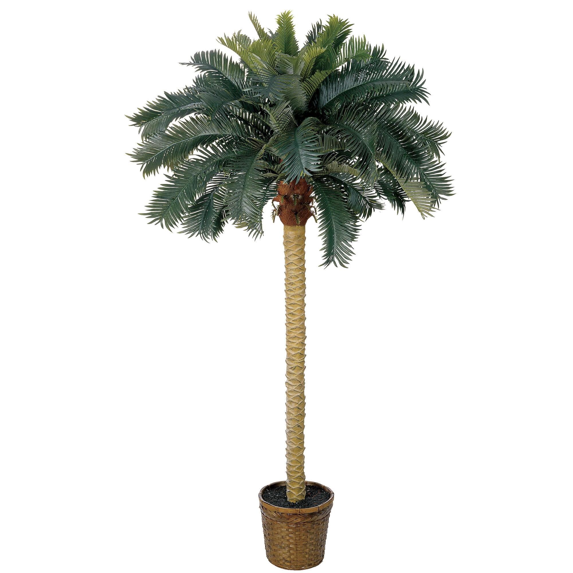 6' Green Silk Sago Palm Tree in Decorative Pot