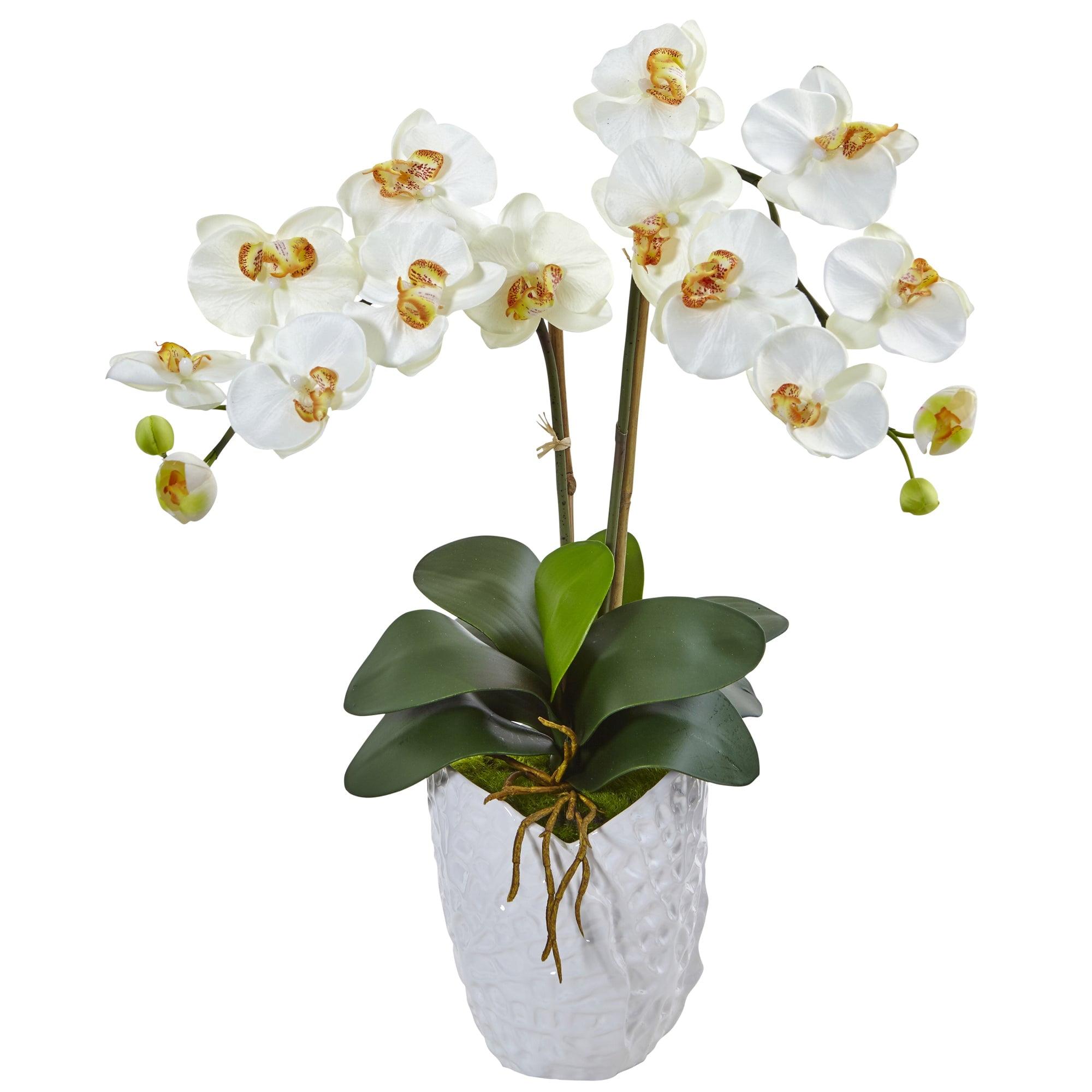 Elegant Faux Double Phalaenopsis Orchid in Black Ceramic Vase